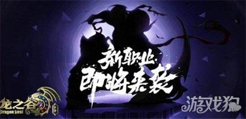 ro手游刺客加点,刺客加点