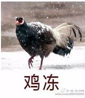 QQ飞车抢,qq手游飞车上号