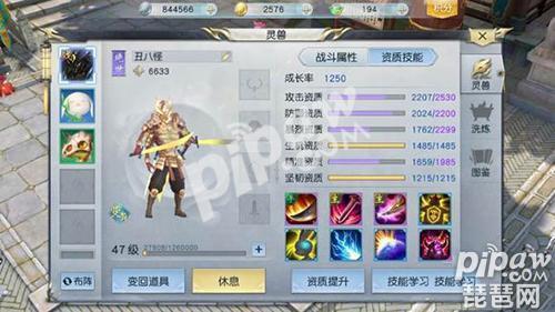 镇魔曲手游宠物推荐,镇魔曲手游坐骑