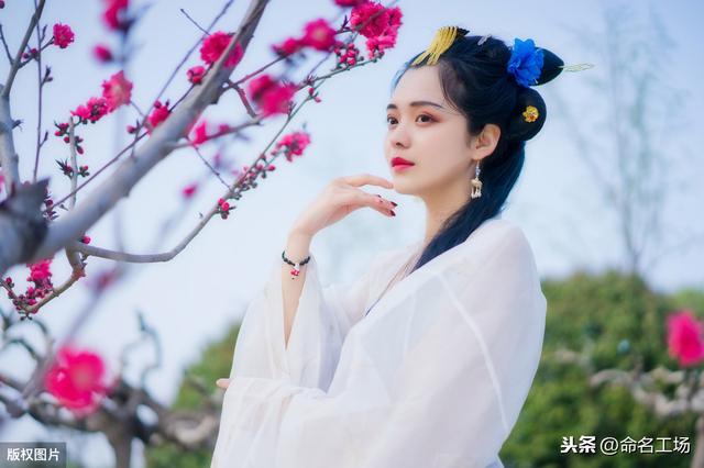 桃花源记手游宝宝打书在那里,桃花源记血宝宝打书