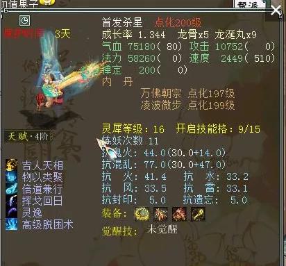 大话西游吉祥果适合男人吗,大话手游男人带吉祥果