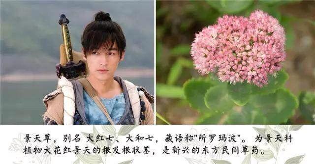 新仙剑手游草姑怎么打,新仙剑手游攻略