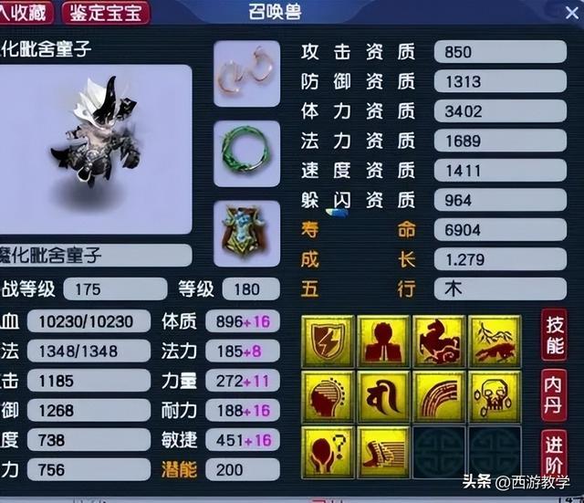 梦幻手游血宠培养攻略,梦幻手游什么是血宠推荐
