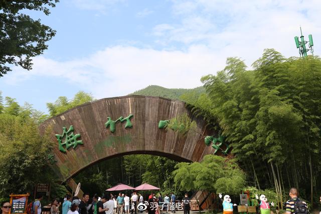 梦幻手游app助手,梦幻手游托管软件
