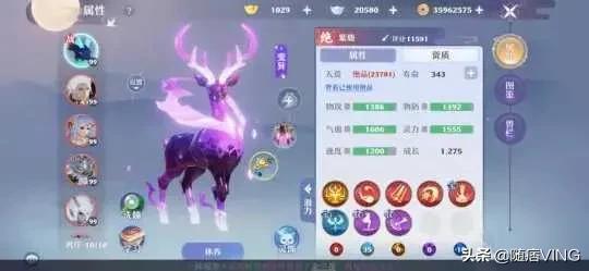 梦幻诛仙手游坐骑被动怎么弄,梦幻诛仙手游坐骑攻略
