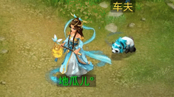 问道手游海龟点化后属性,问道手游海龟属性加点攻略